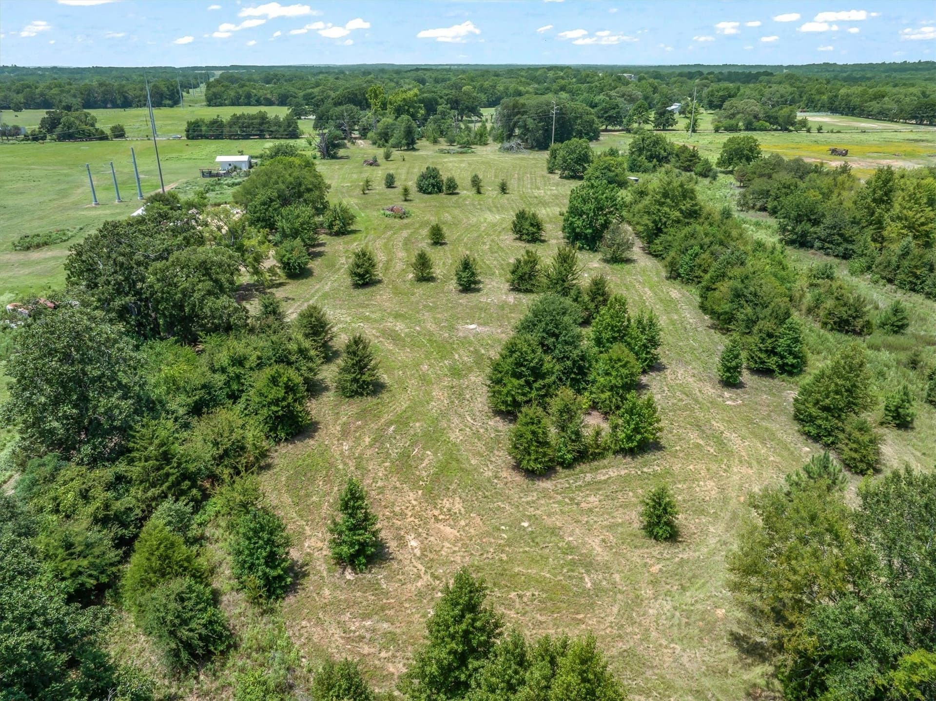25 acres in Henderson County featured view