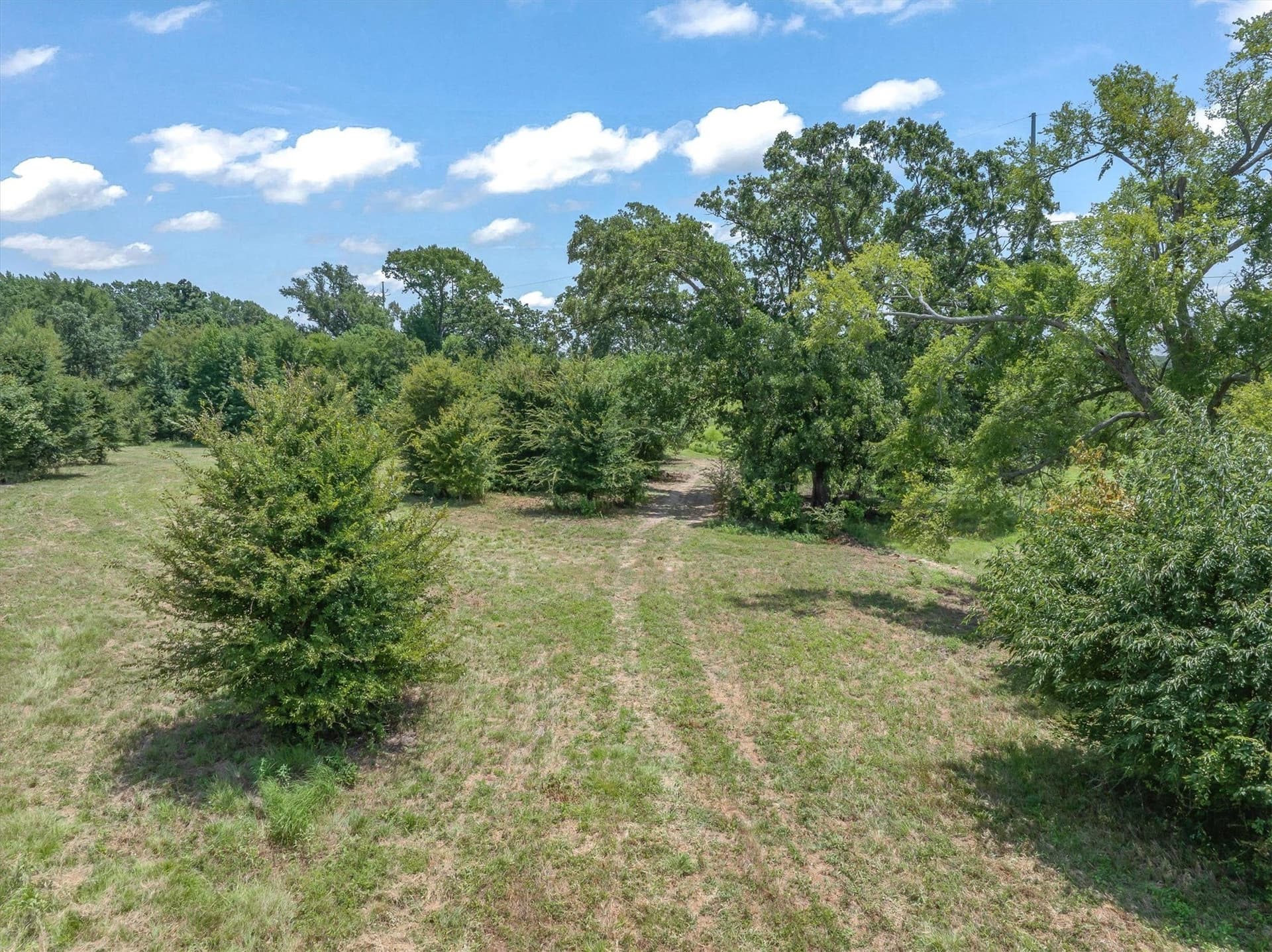 25 acres in Henderson County - photo 21