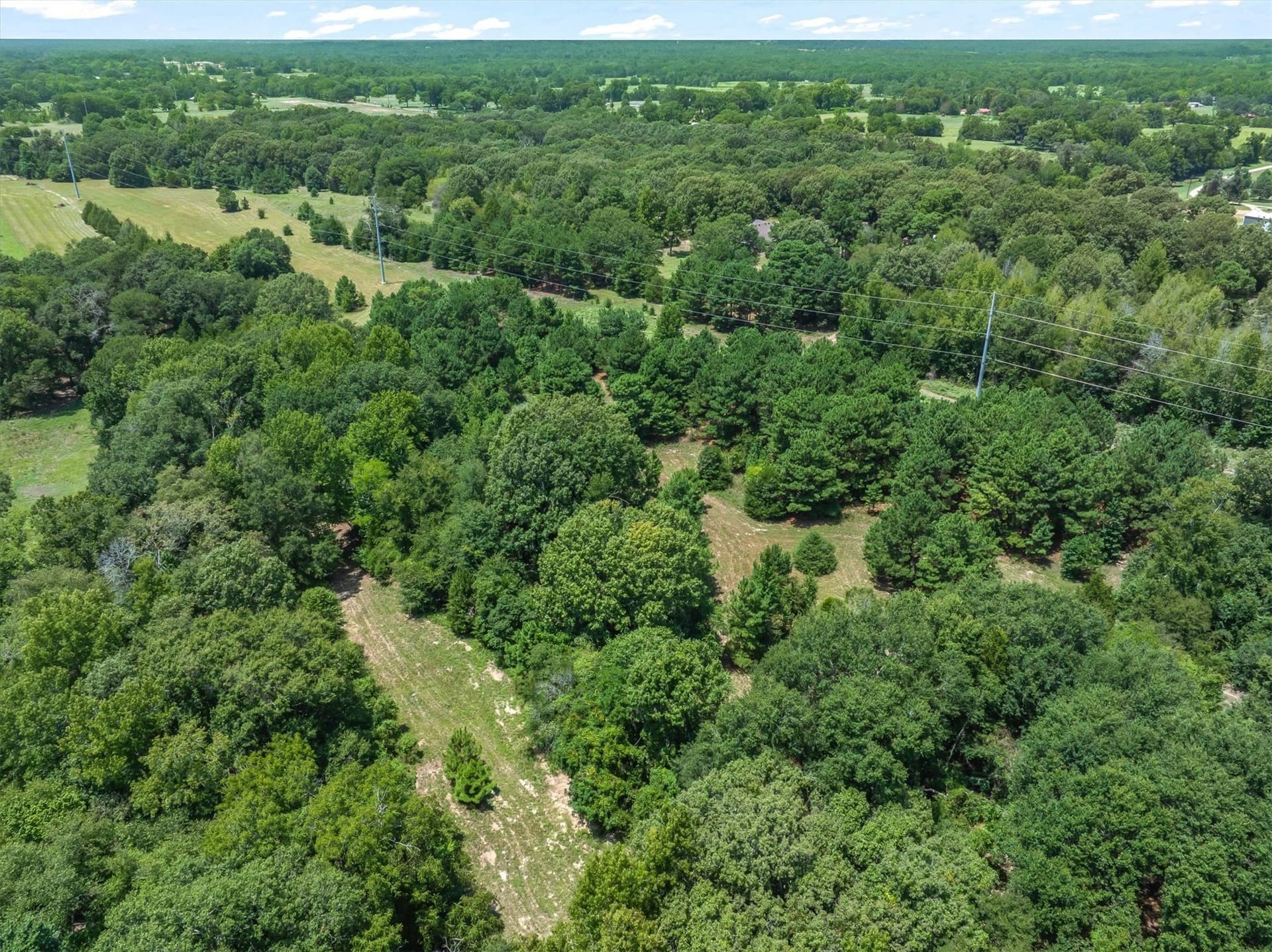 25 acres in Henderson County - photo 6