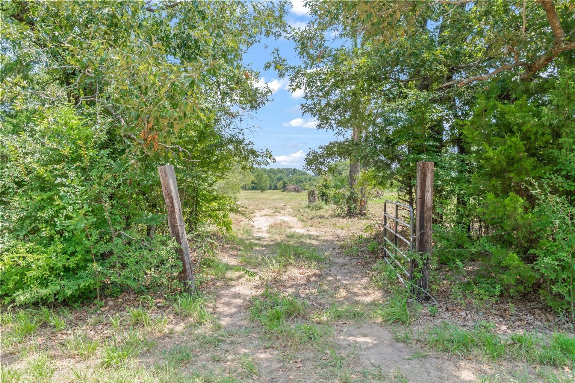 25 acres in Henderson County - photo 13