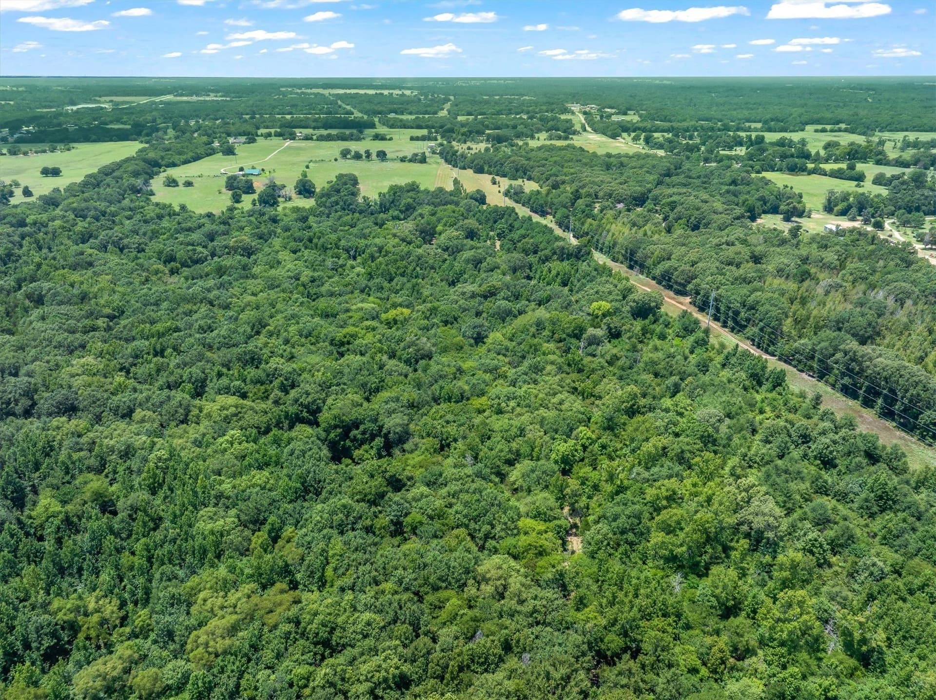 25 acres in Henderson County - photo 7