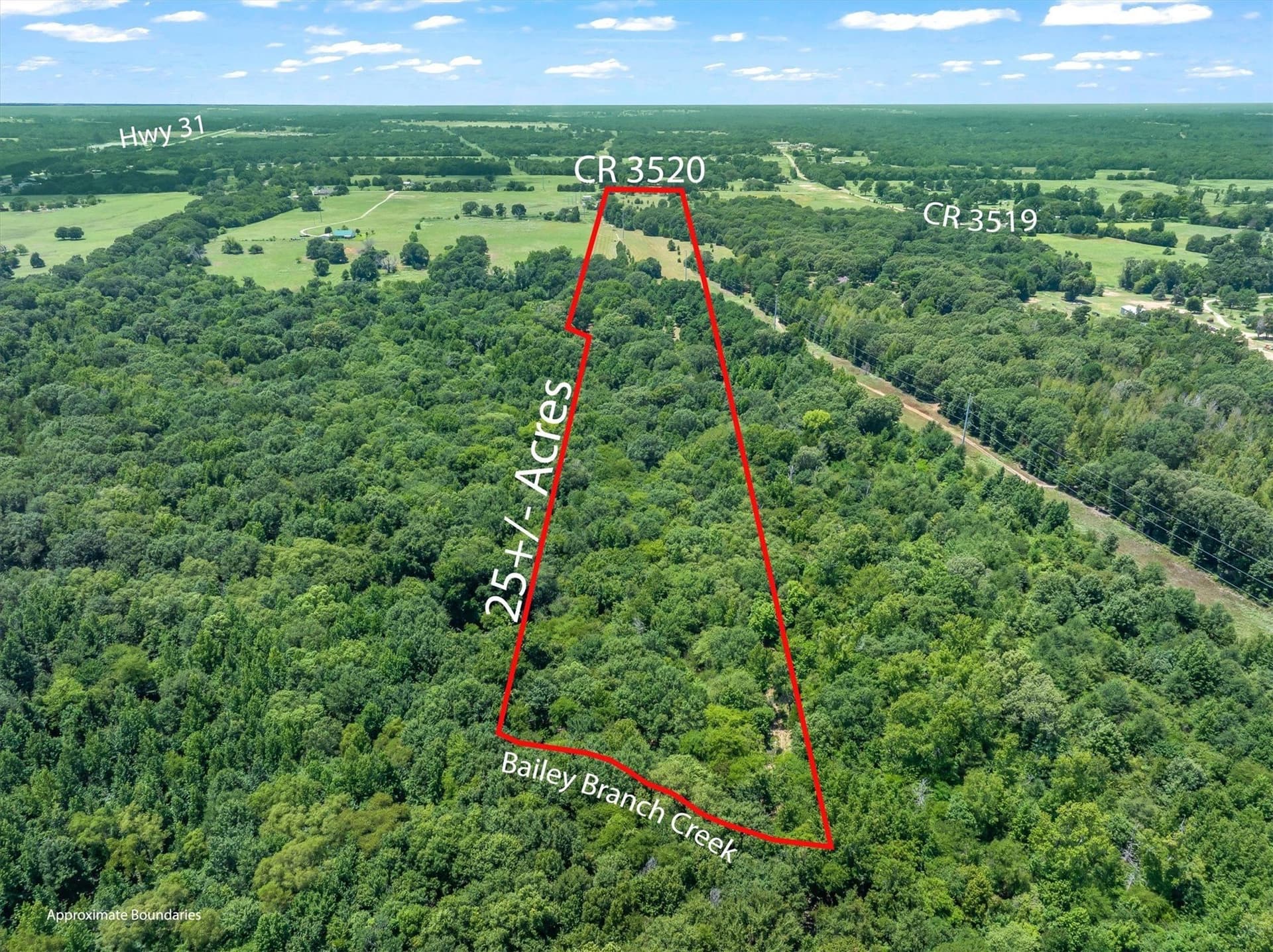 25 acres in Henderson County - photo 9