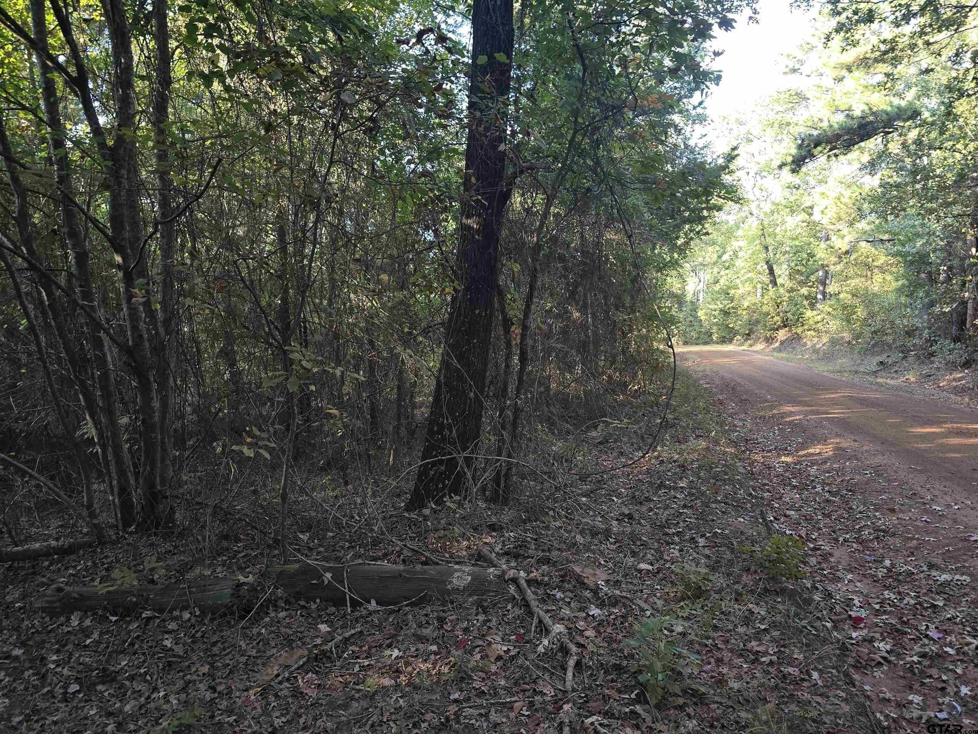 50 acres in Cass County featured view
