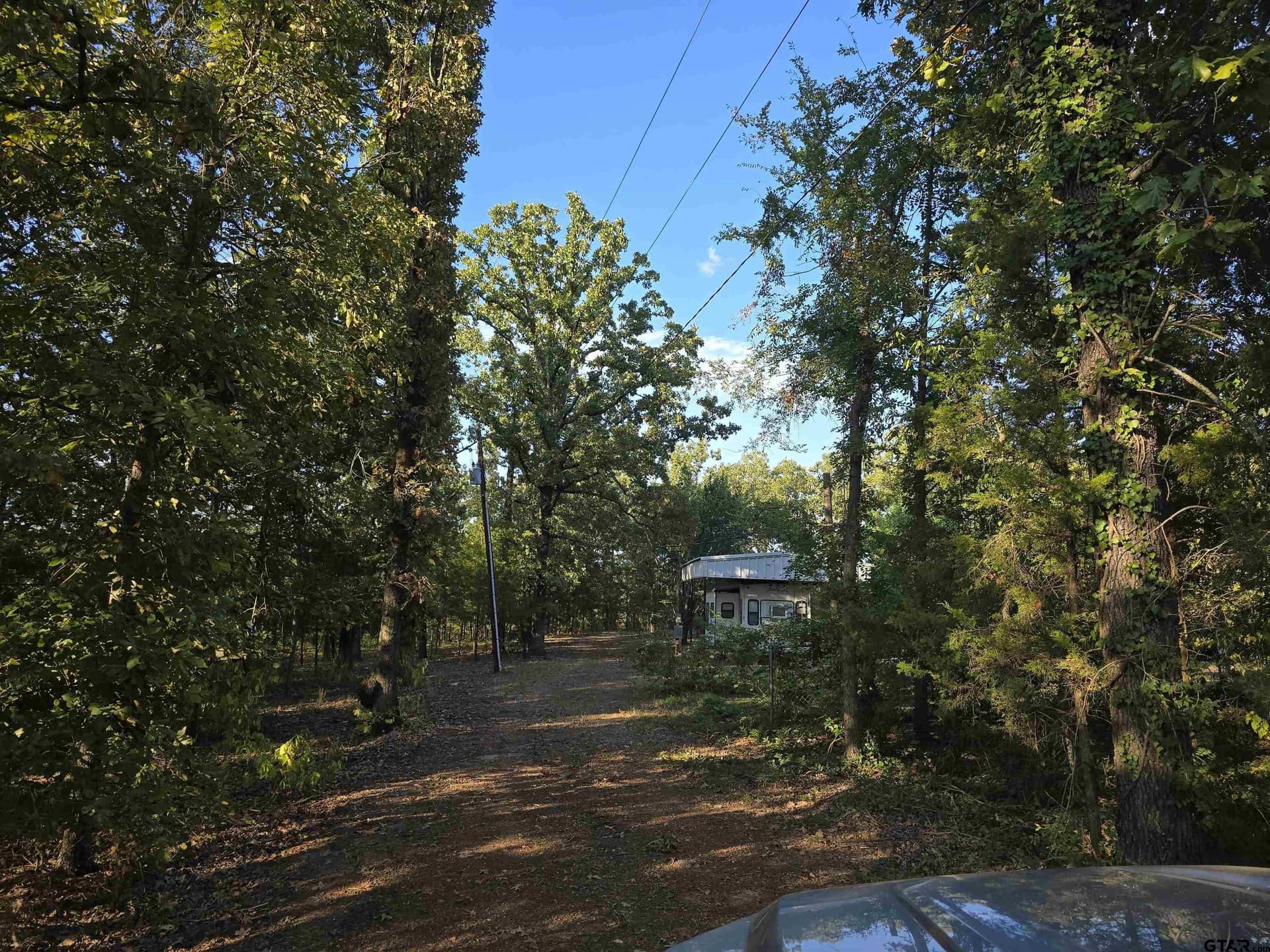 50 acres in Cass County gallery image 2