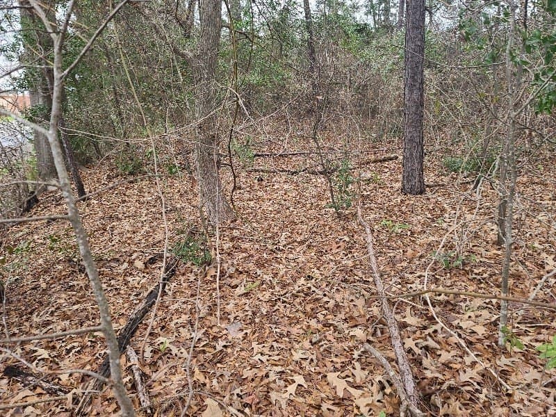 1.97 acres in Texas County featured view