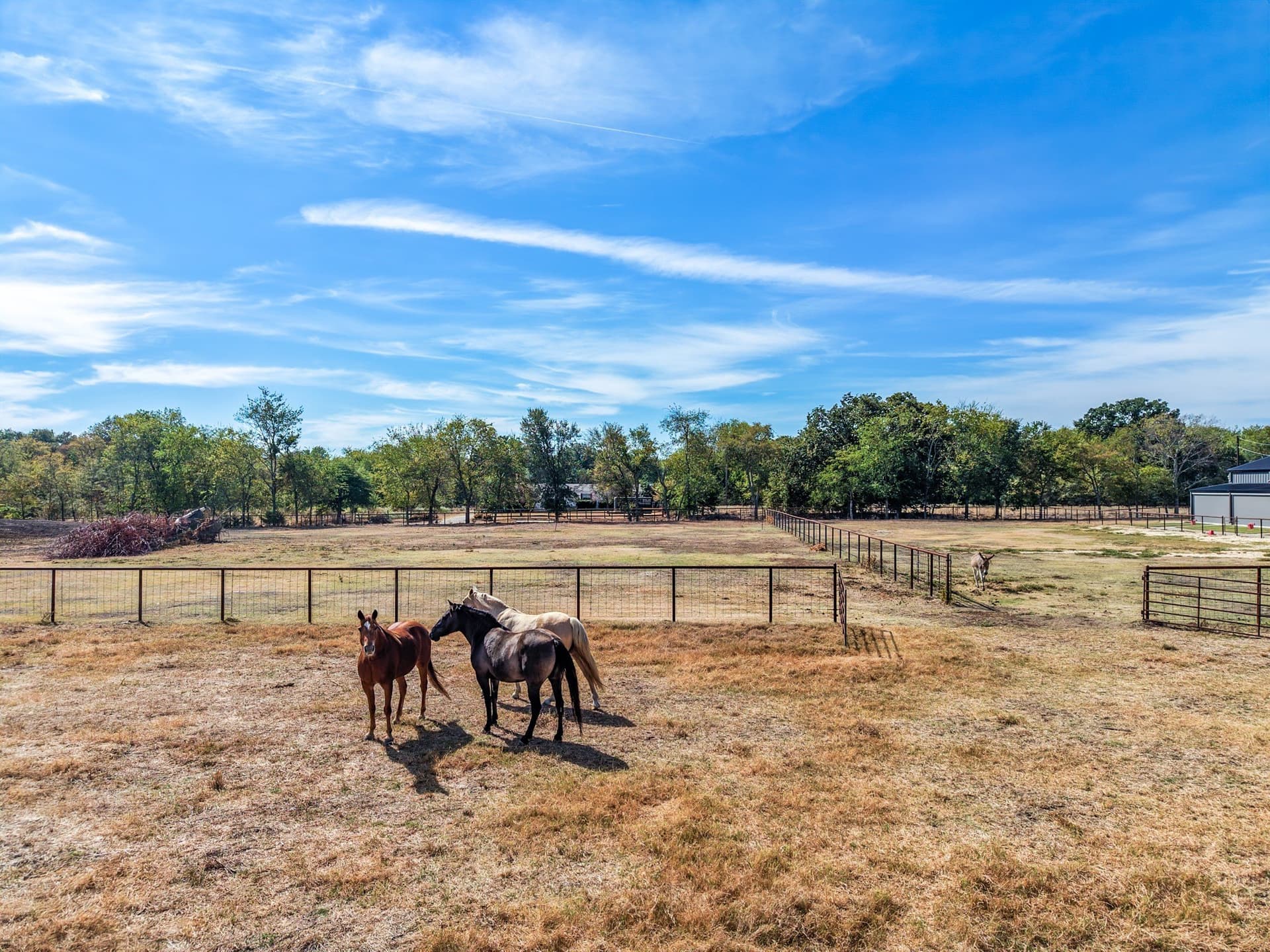 12 acres in Hopkins County - photo 38