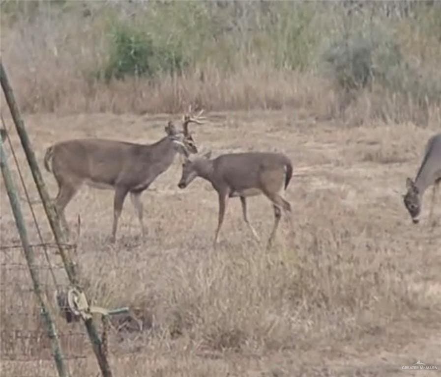 122 acres in Brooks County - photo 13