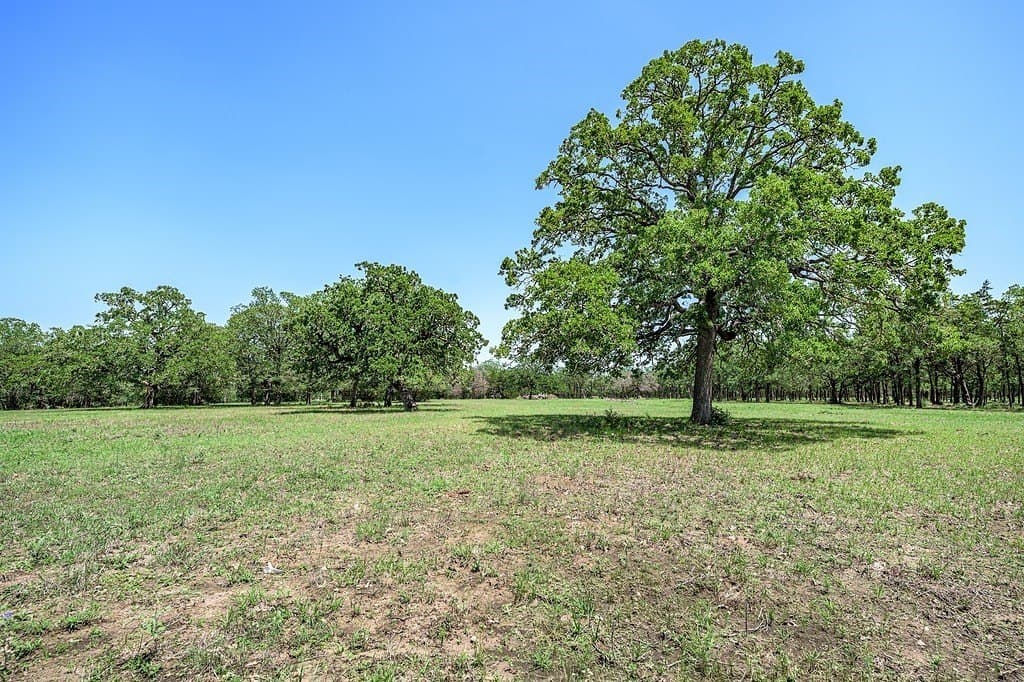25.17 acres in Fayette County - photo 14