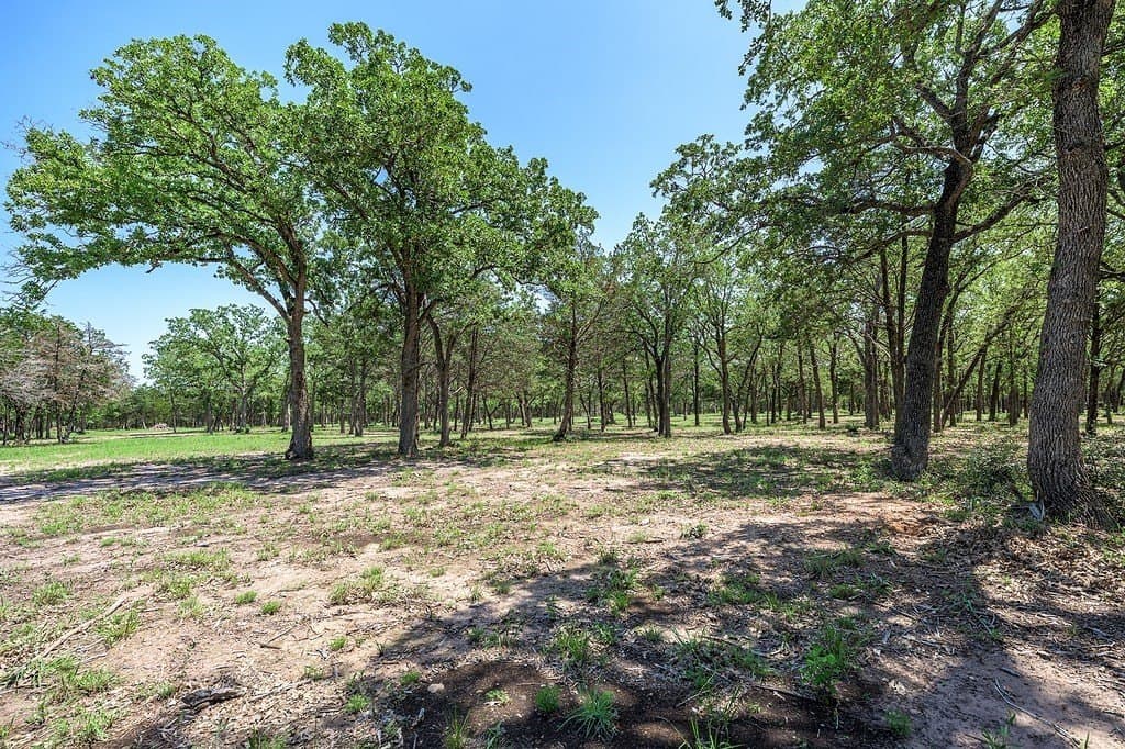 25.17 acres in Fayette County - photo 12