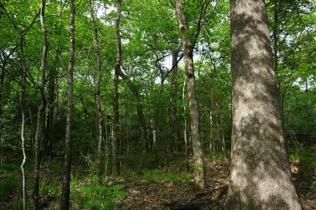 22.5 acres in Henderson County