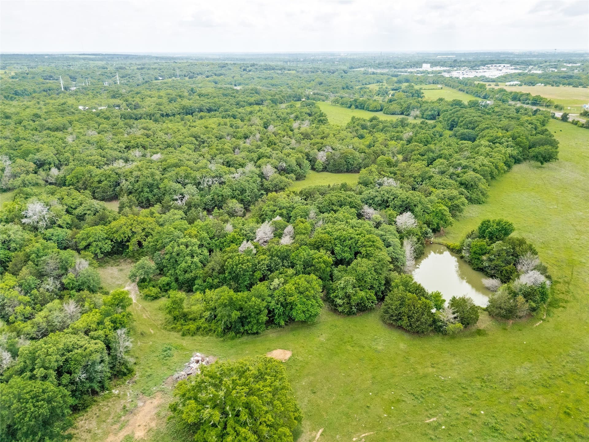 39 acres in Johnson County - photo 18
