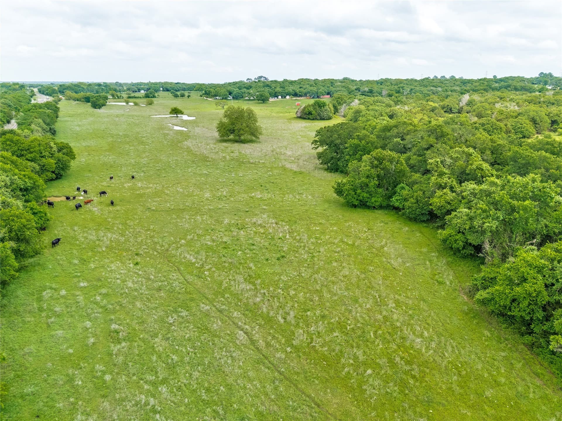39 acres in Johnson County - photo 21