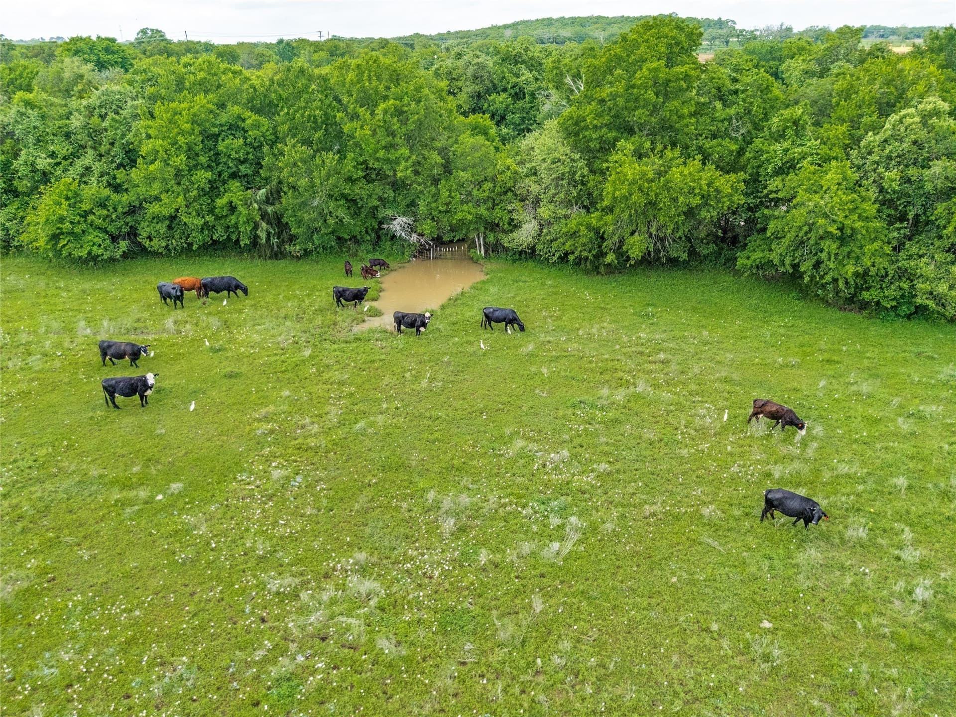 39 acres in Johnson County - photo 20