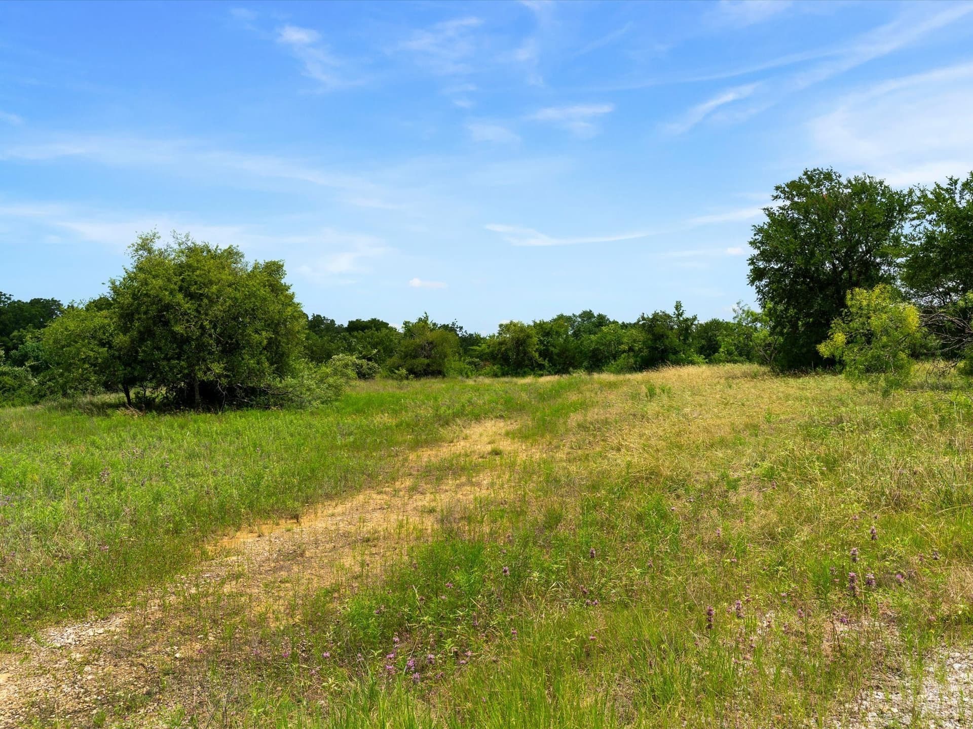 11.03 acres in Wise County gallery image 4