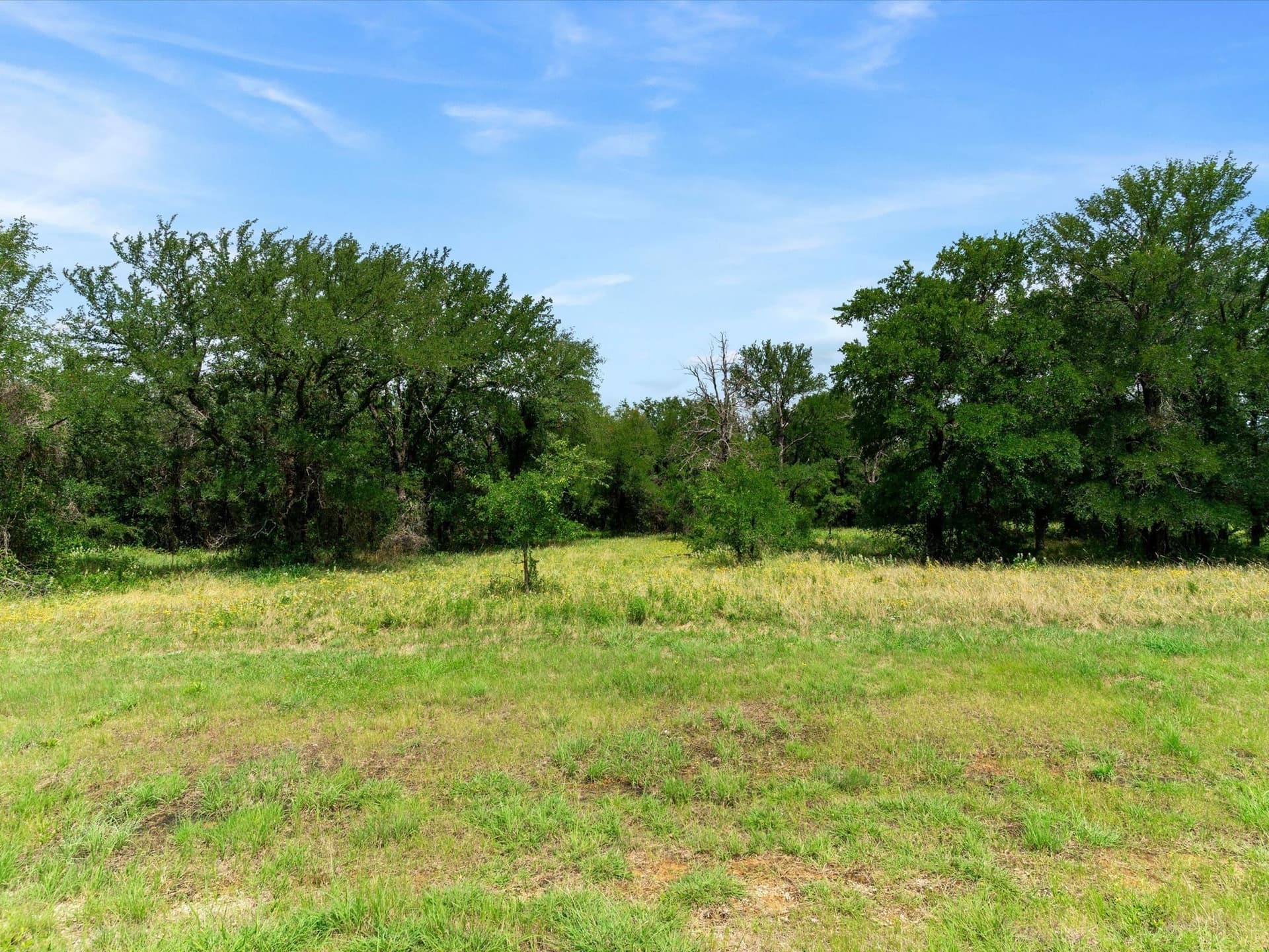 11.03 acres in Wise County