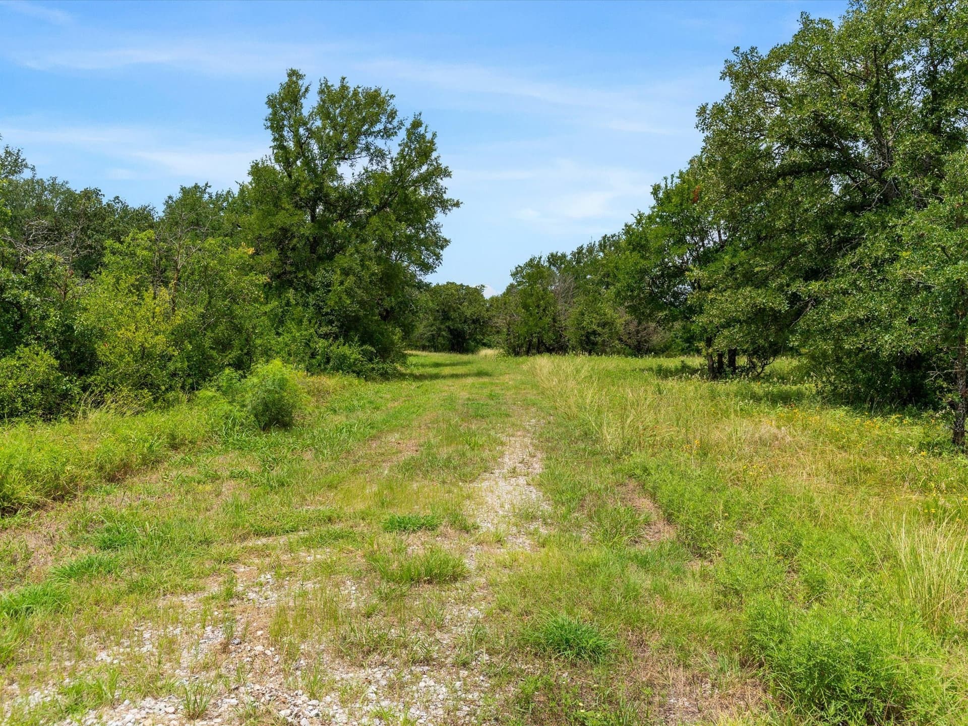 11.03 acres in Wise County featured view