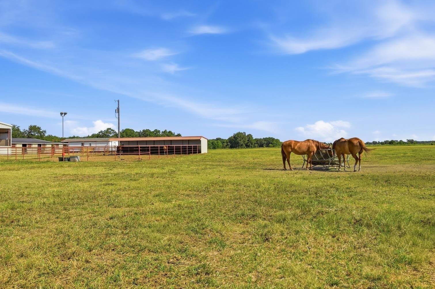 15.58 acres in Grayson County - photo 33
