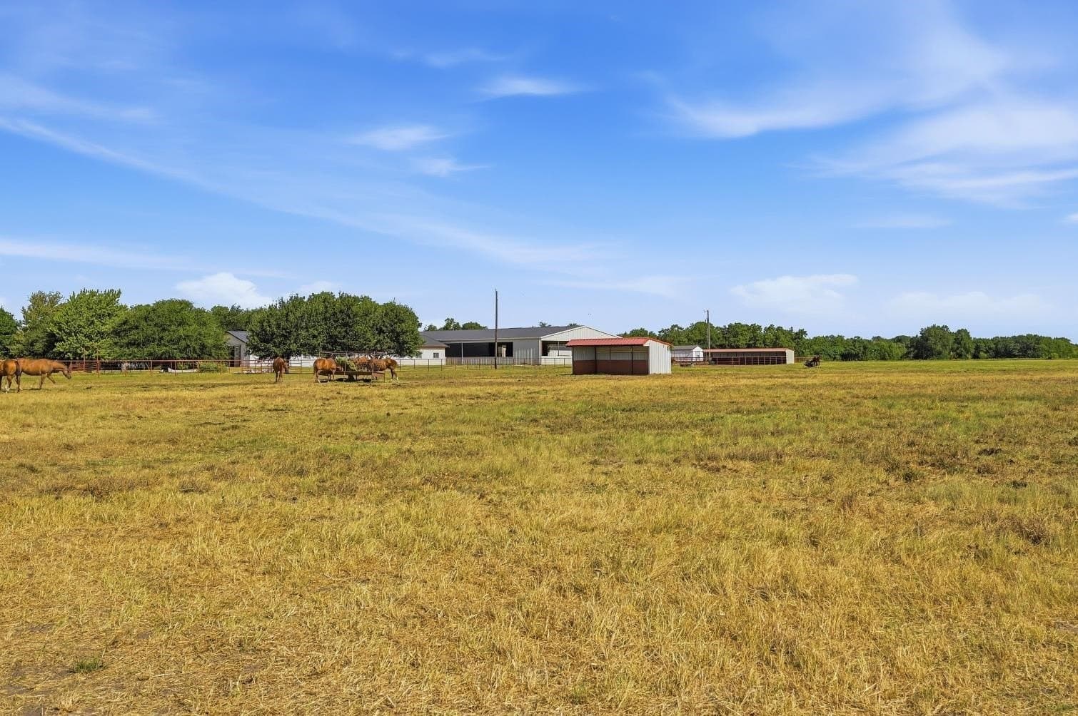 15.58 acres in Grayson County - photo 29
