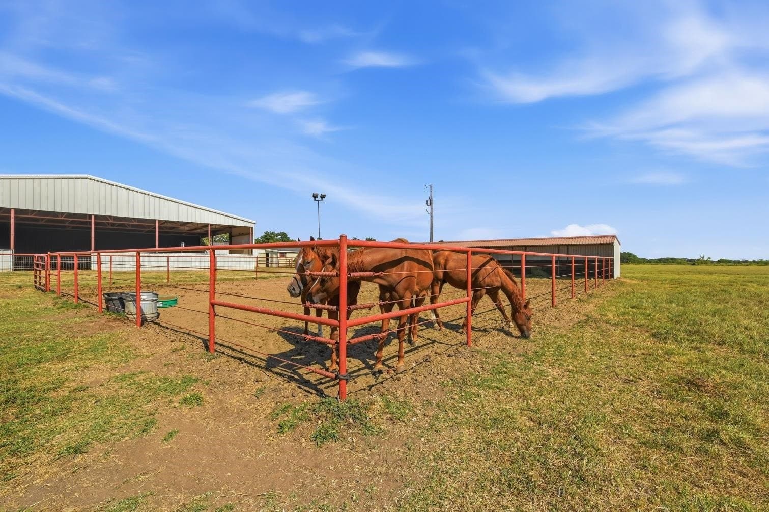 15.58 acres in Grayson County - photo 6
