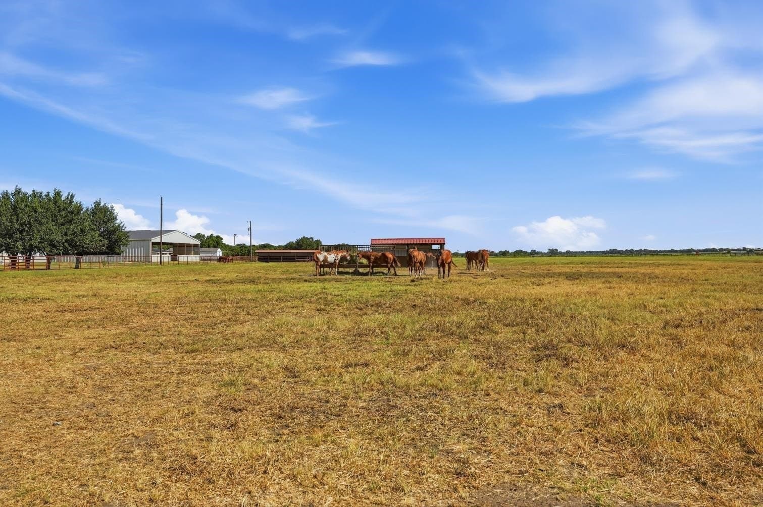15.58 acres in Grayson County - photo 30