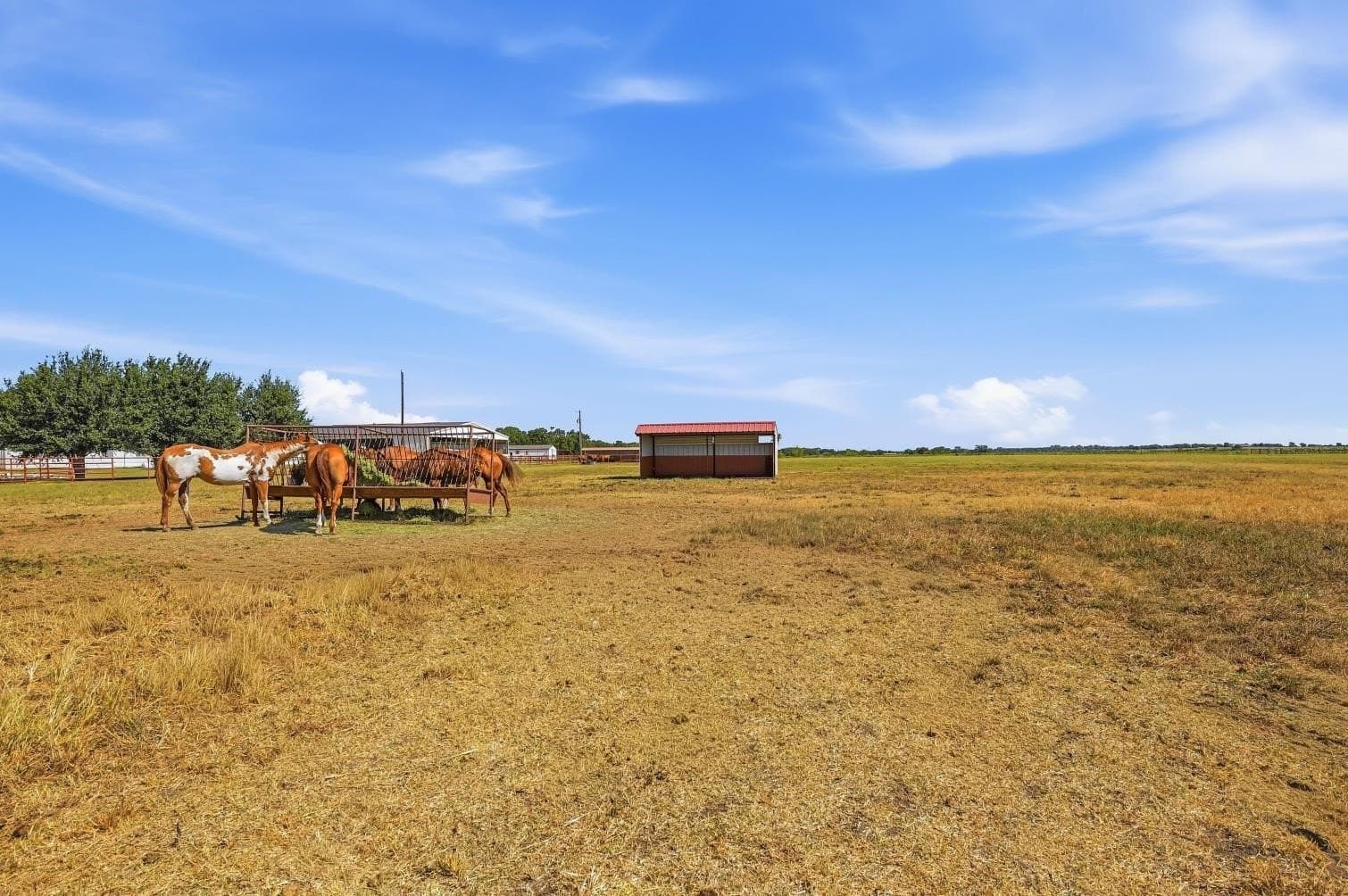 15.58 acres in Grayson County - photo 31