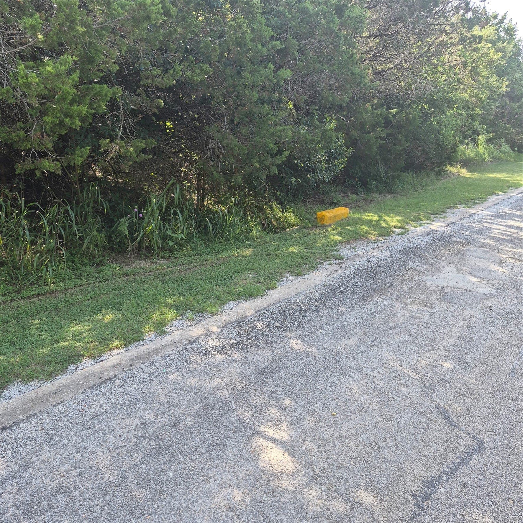0.26 acres in Hill County - photo 7