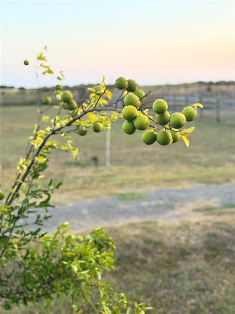 30.8 acres in Kleberg County - photo 28