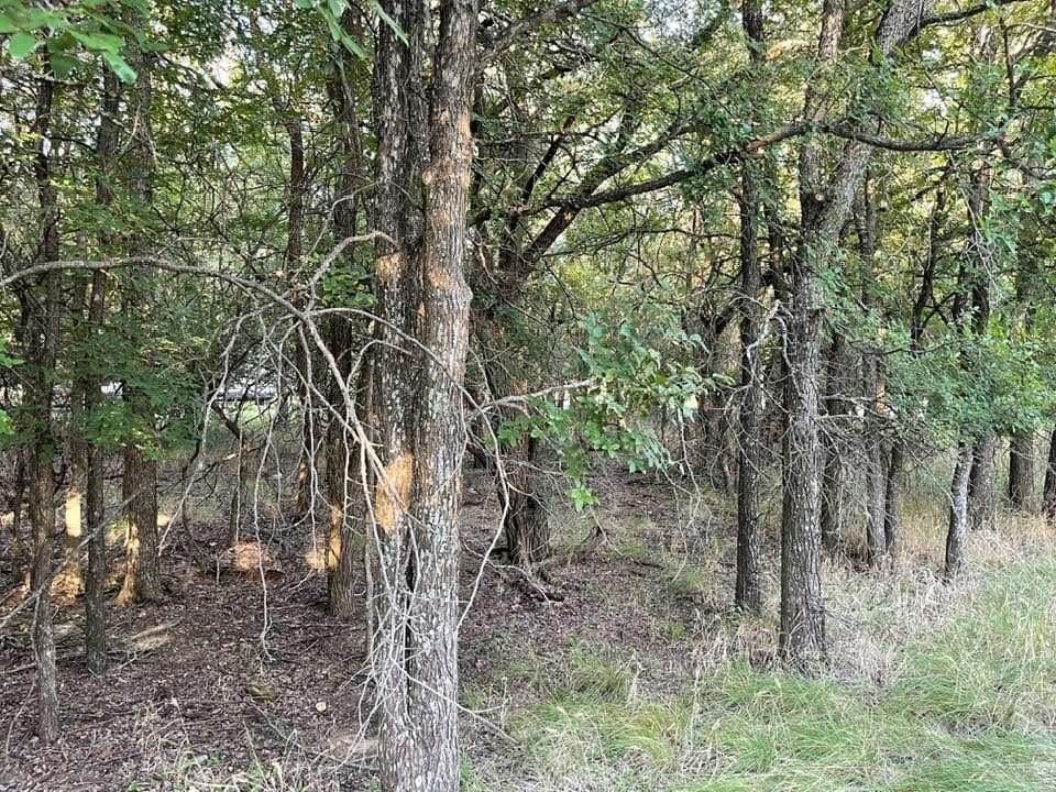 0.26 acres in Brown County gallery image 2