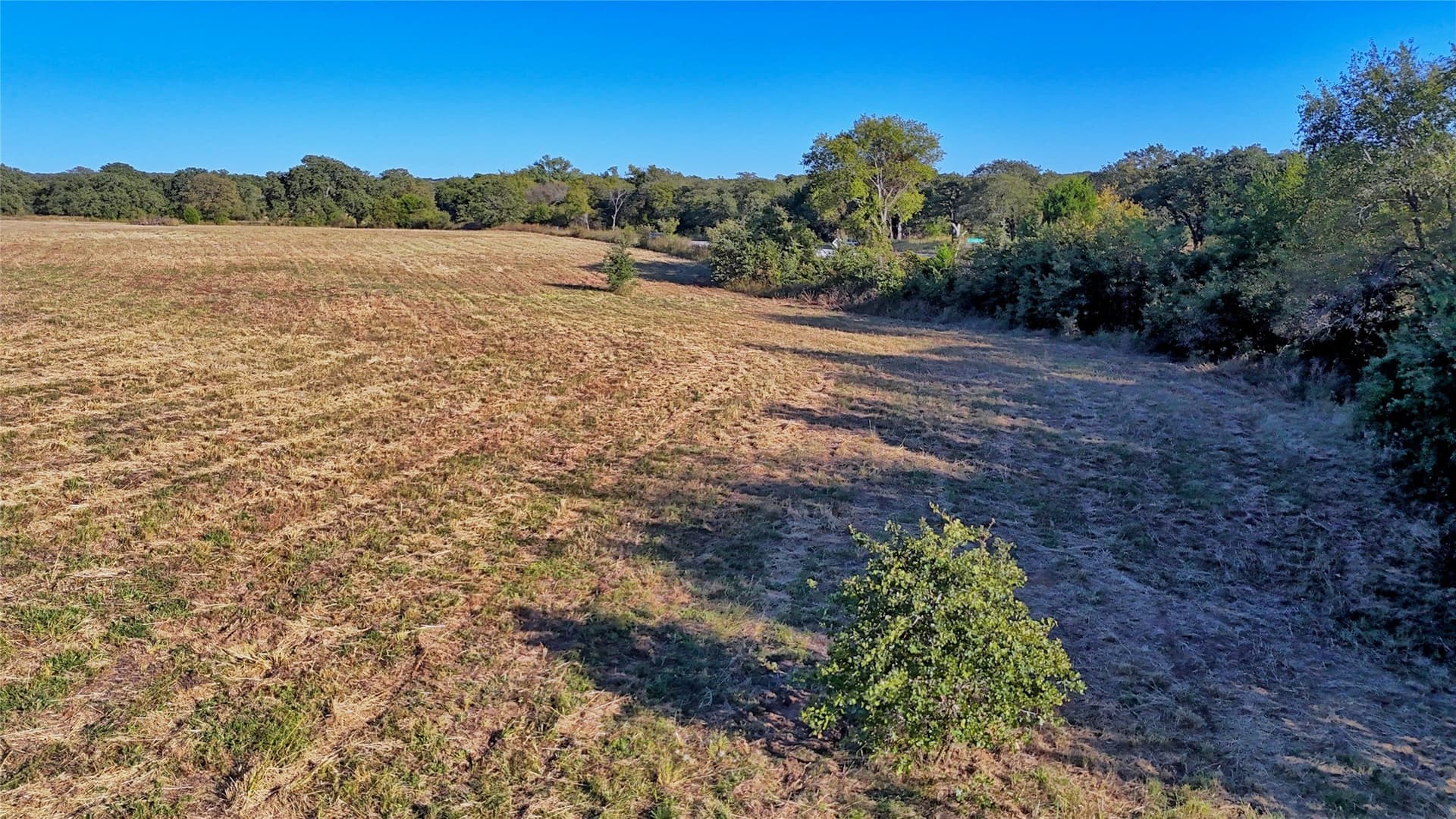 10 acres in Montague County featured view