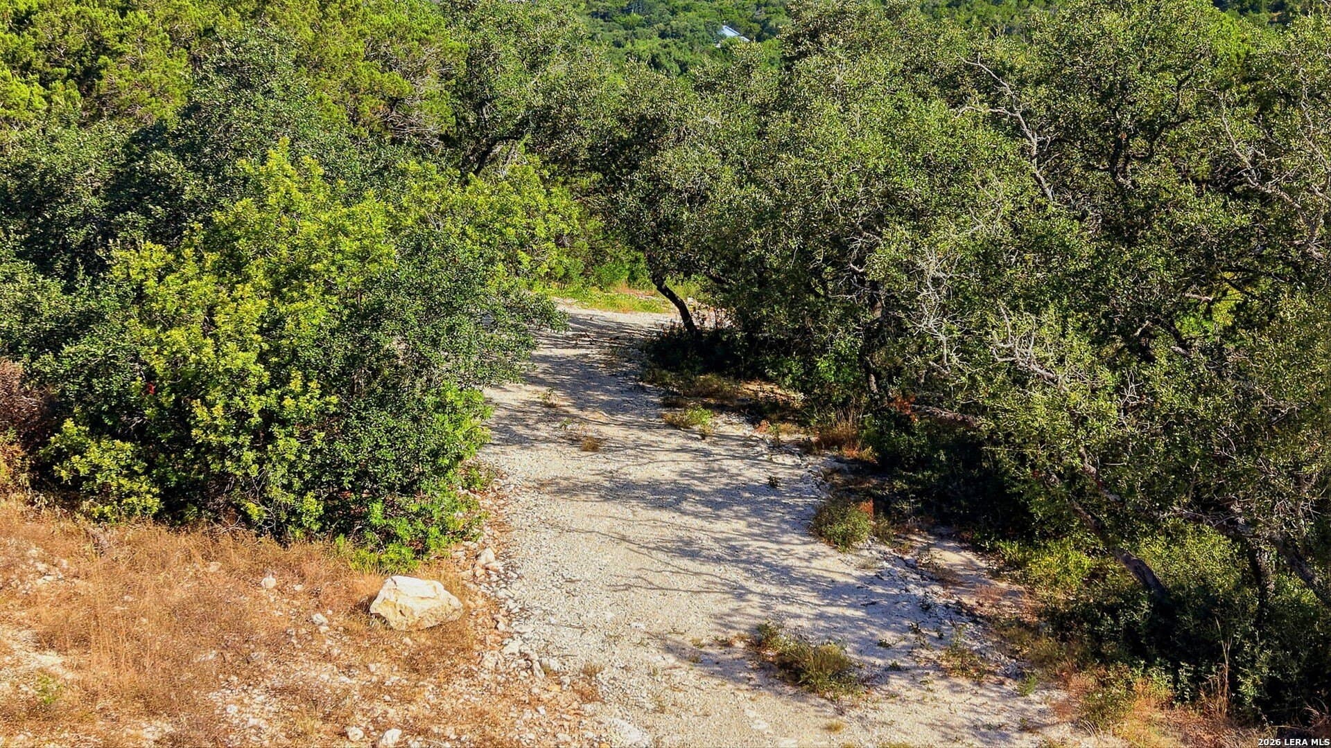11.23 acres in Medina County - photo 17