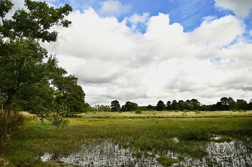 62.16 acres in Texas County - photo 21