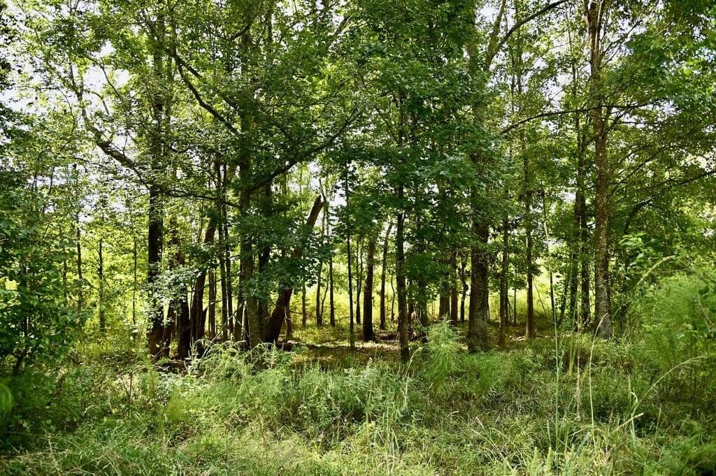 62.16 acres in Texas County - photo 19