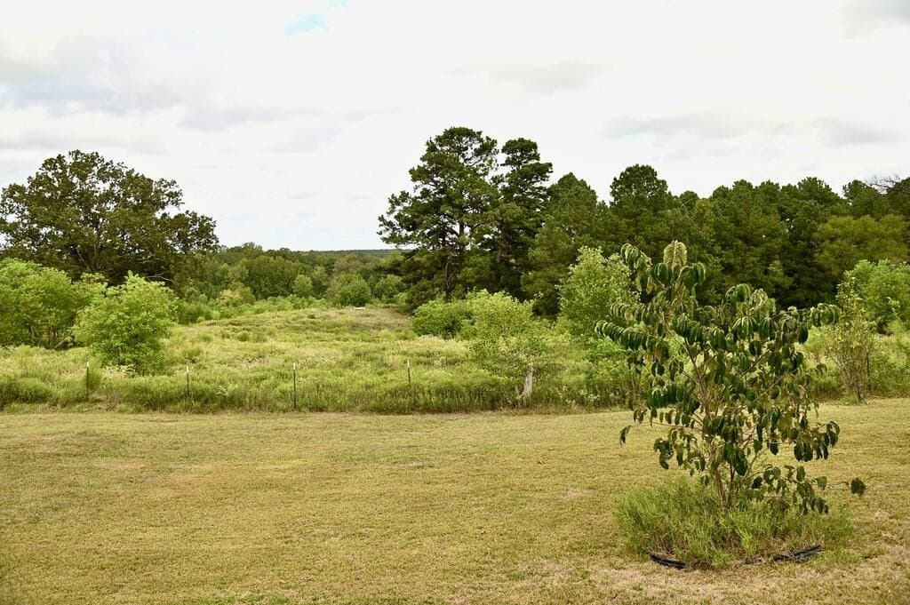 62.16 acres in Texas County - photo 2