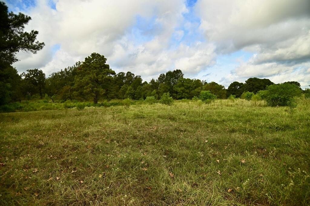 62.16 acres in Texas County - photo 22