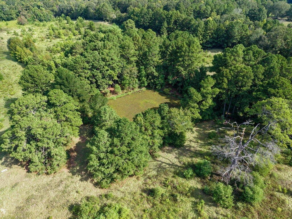 62.16 acres in Texas County - photo 10