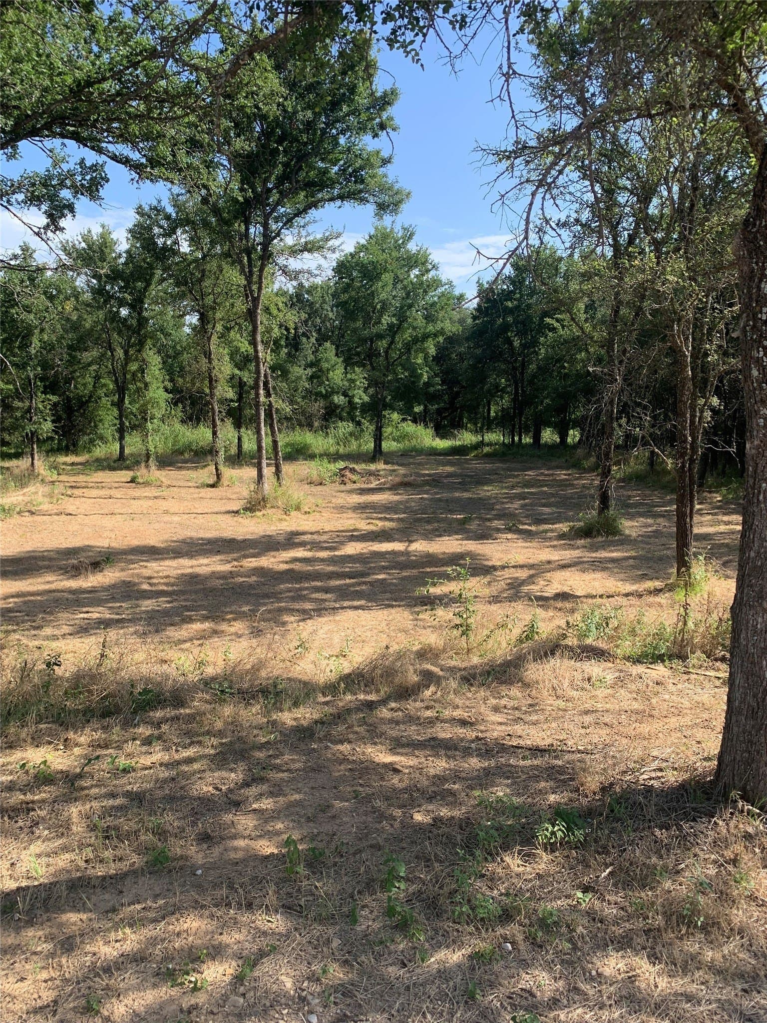 0.25 acres in Wise County - photo 2
