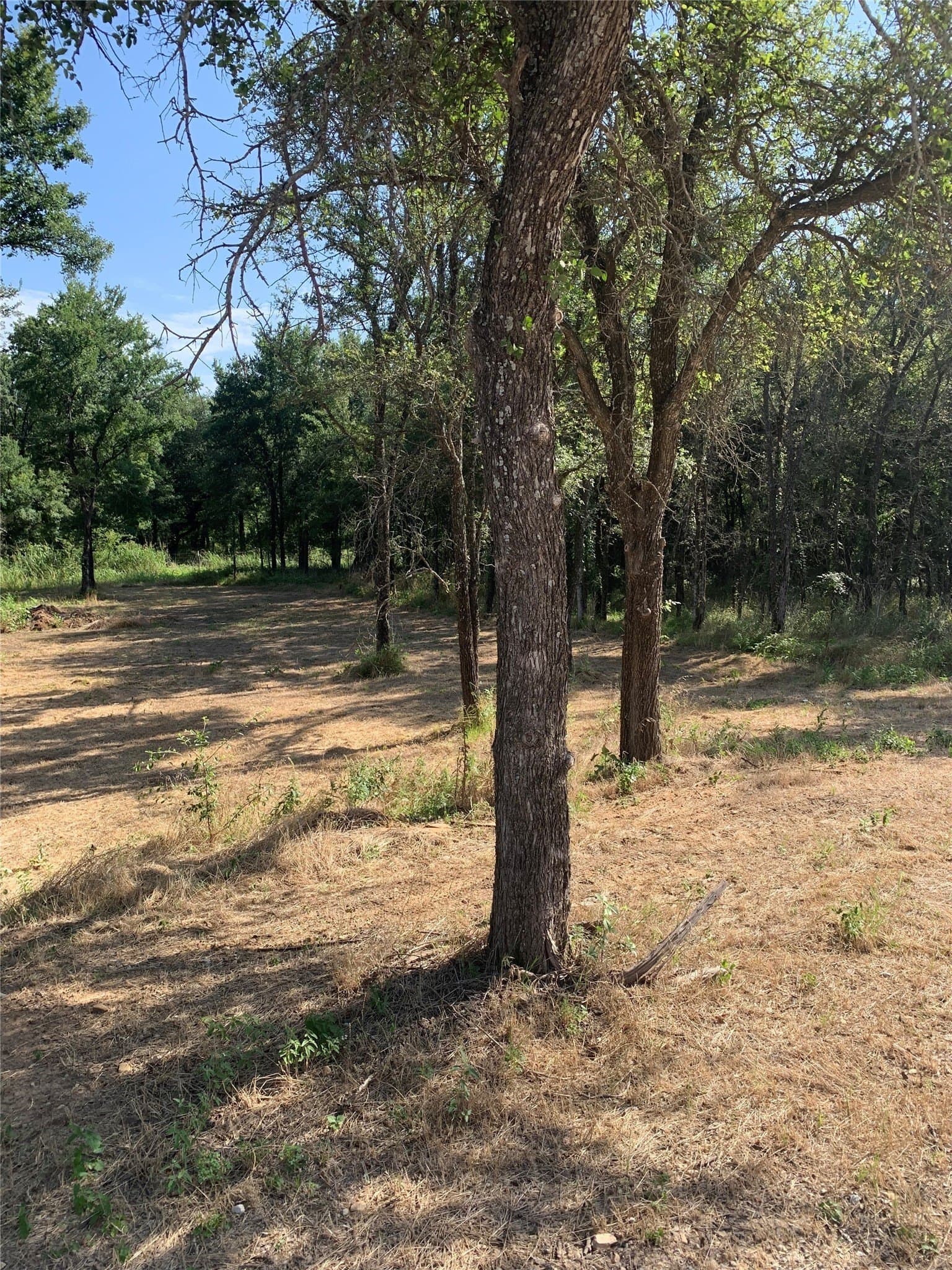 0.25 acres in Wise County - photo 3