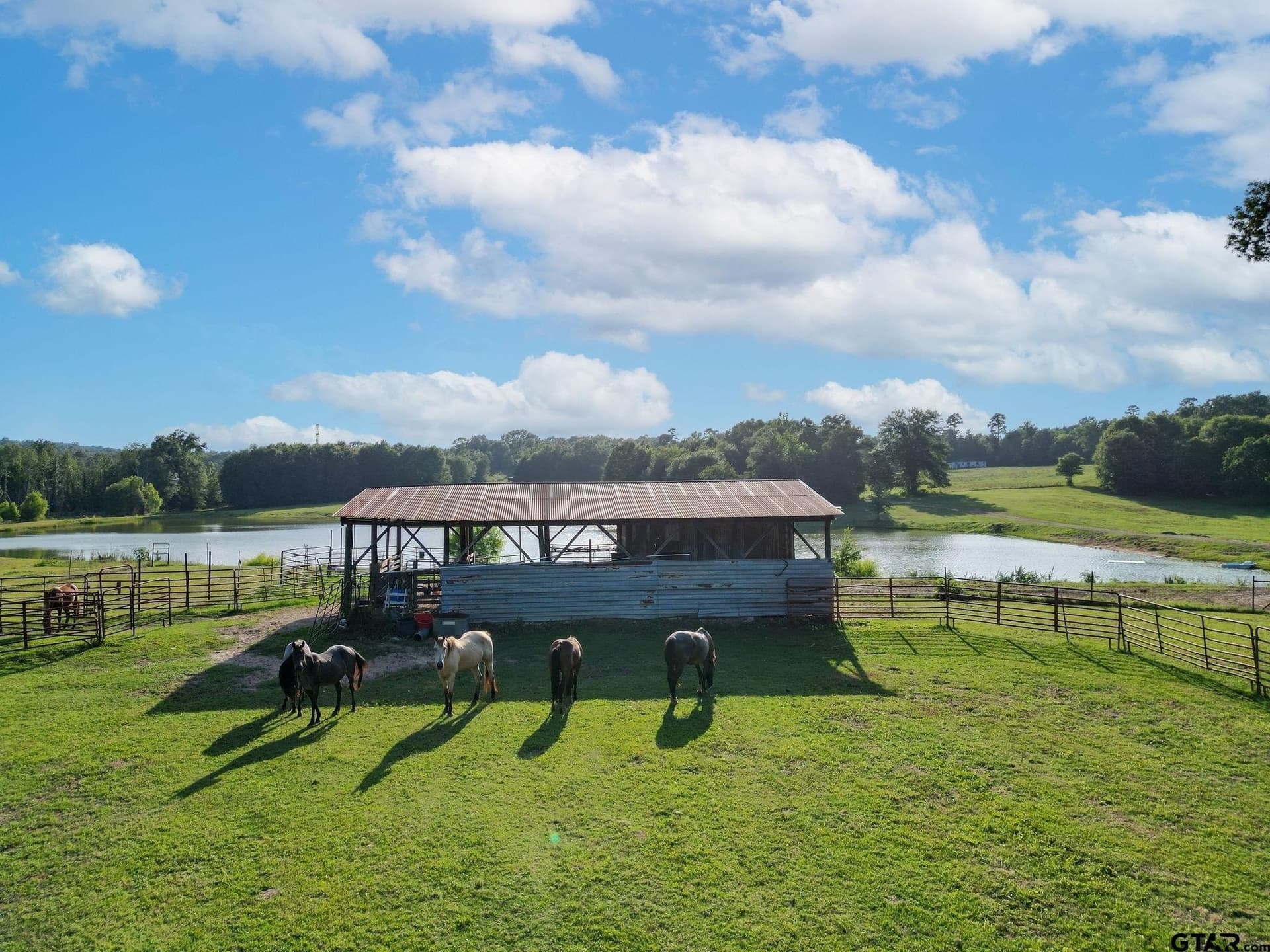 11.2 acres in Cass County - photo 39