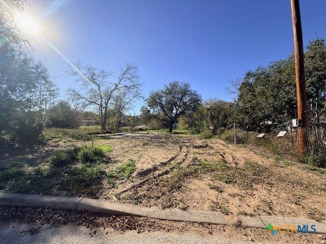 0.17 acres in Atascosa County gallery image 3