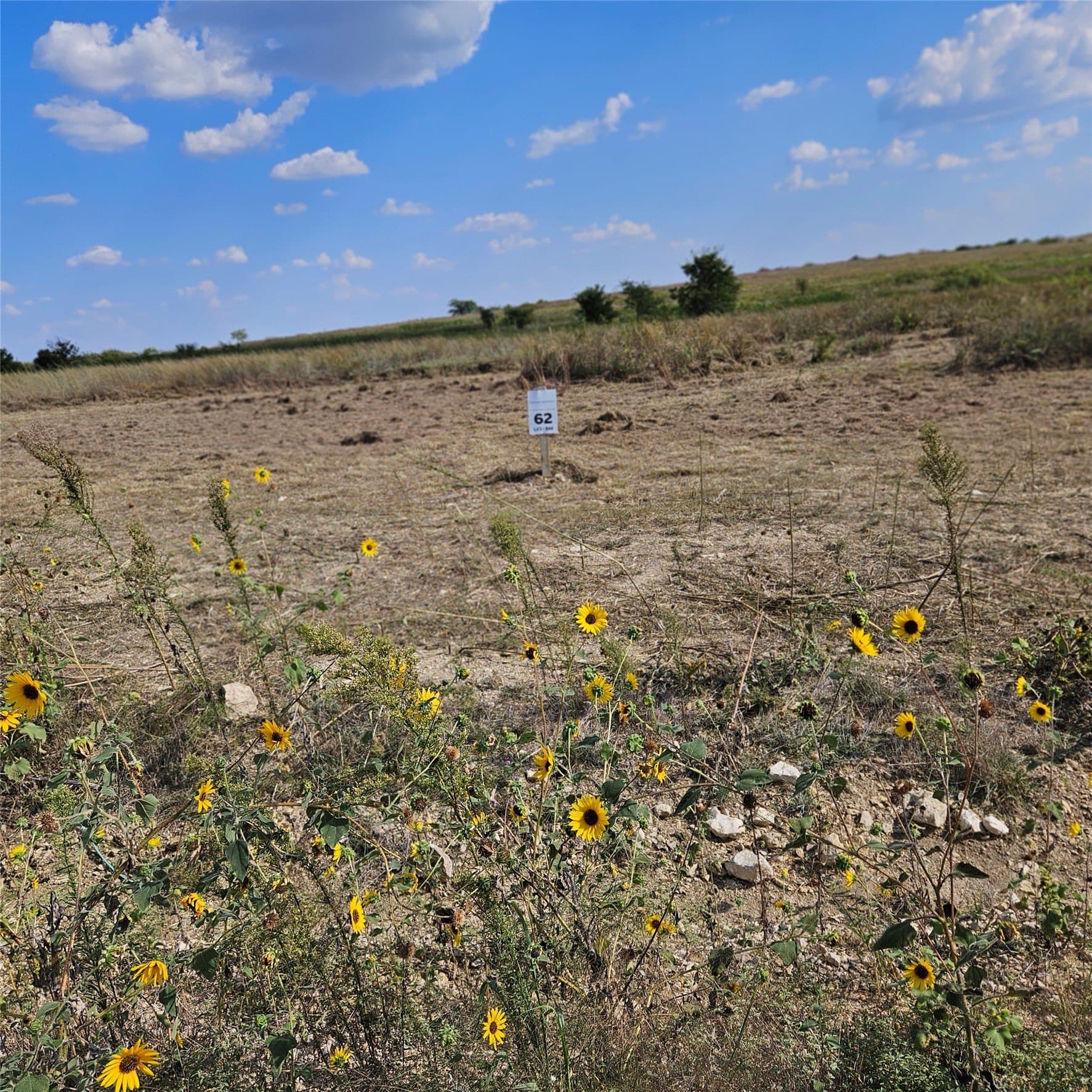 2.02 acres in Hood County - photo 3