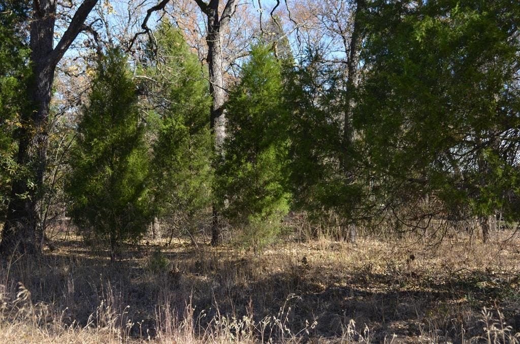 0.25 acres in Henderson County