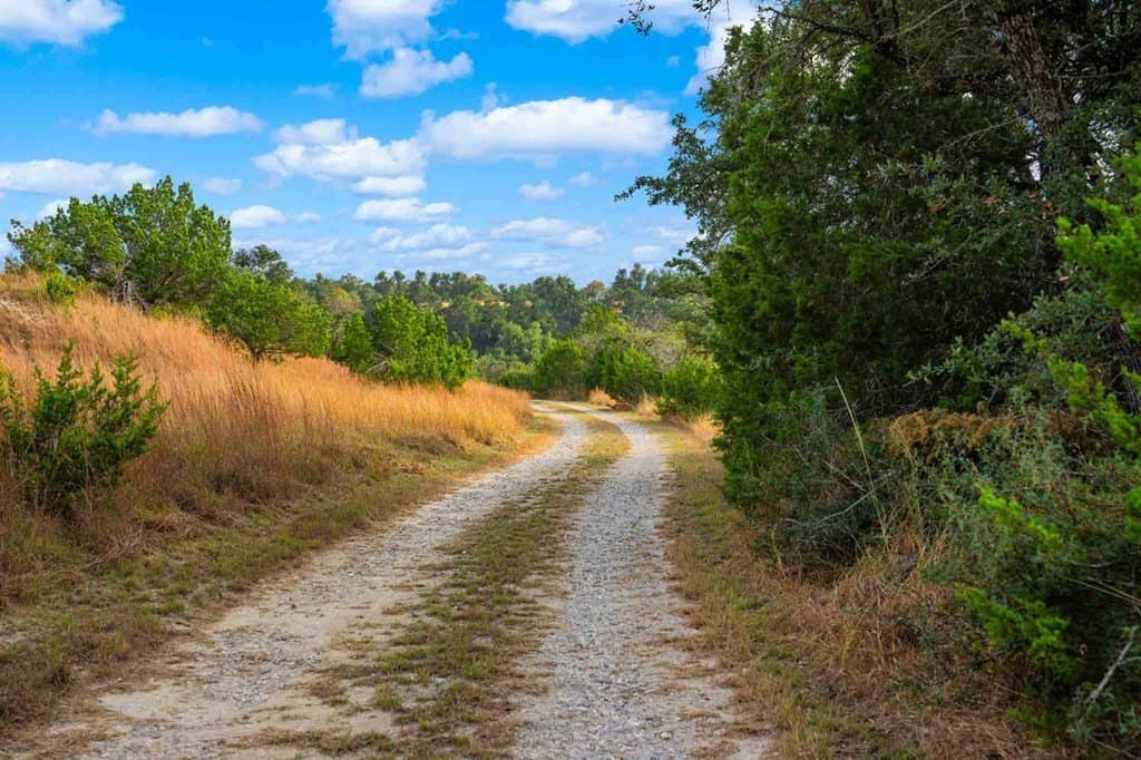 77.59 acres in Gillespie County featured view