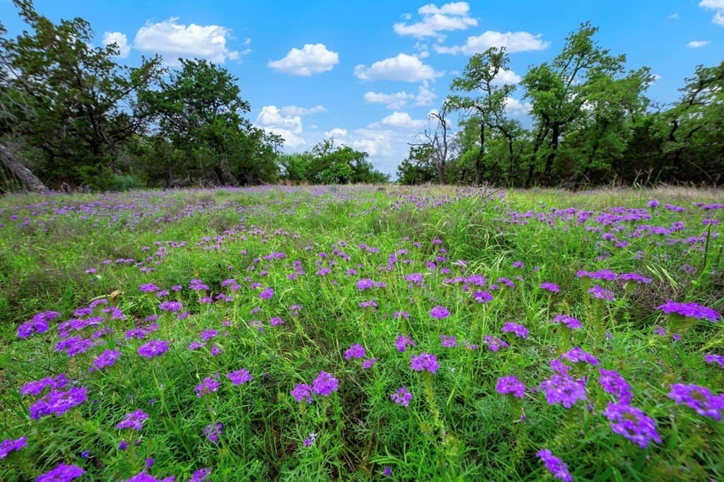 77.59 acres in Gillespie County - photo 17
