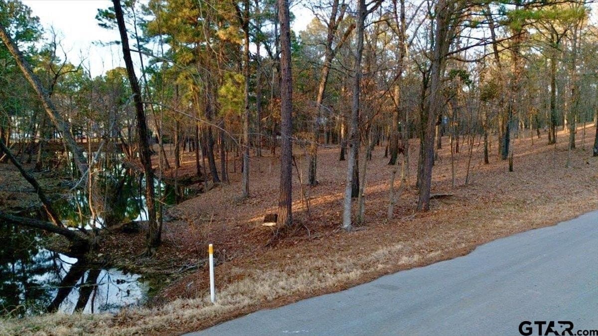 1.49 acres in Smith County featured view