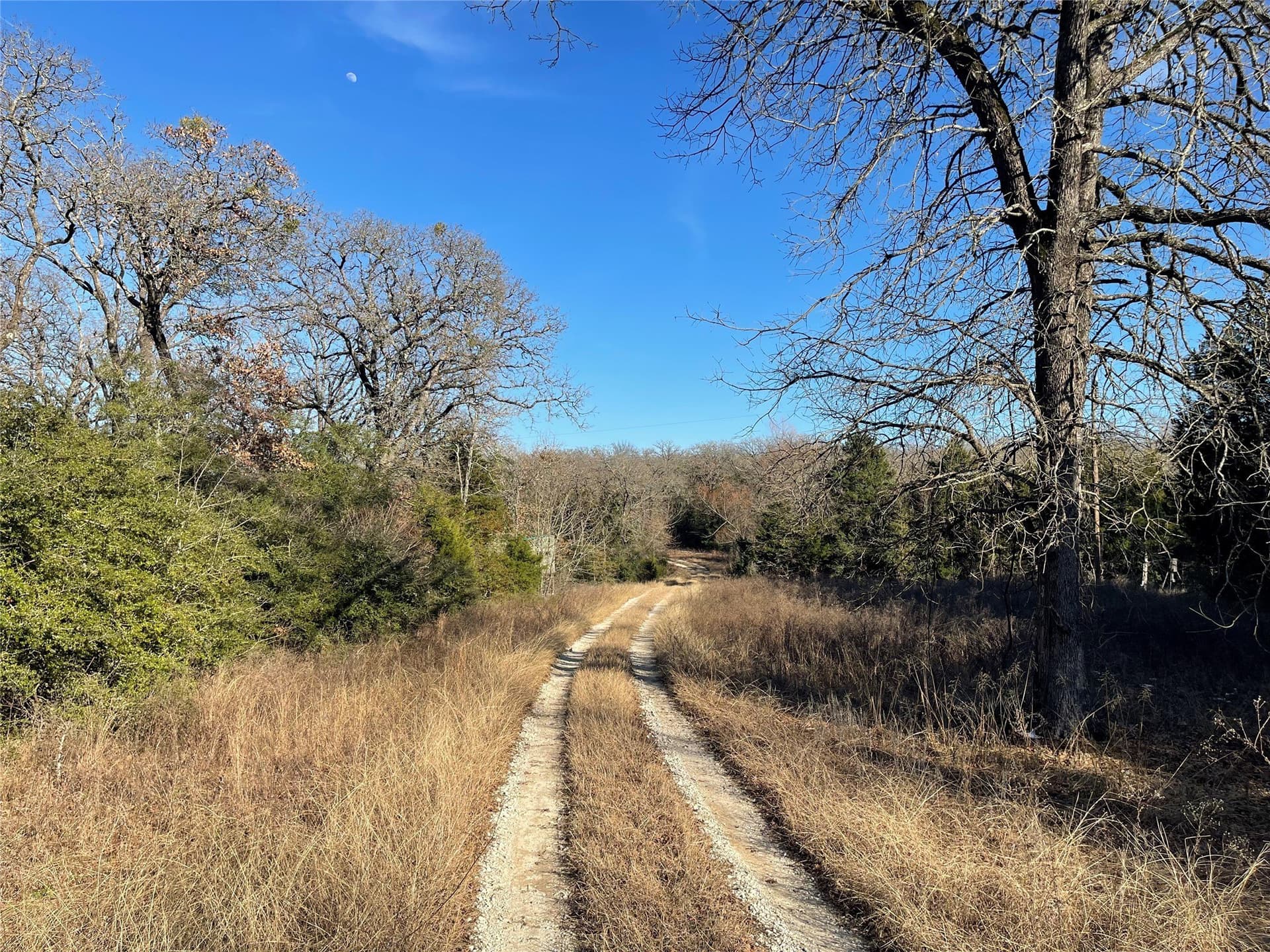 72.28 acres in Freestone County - photo 14