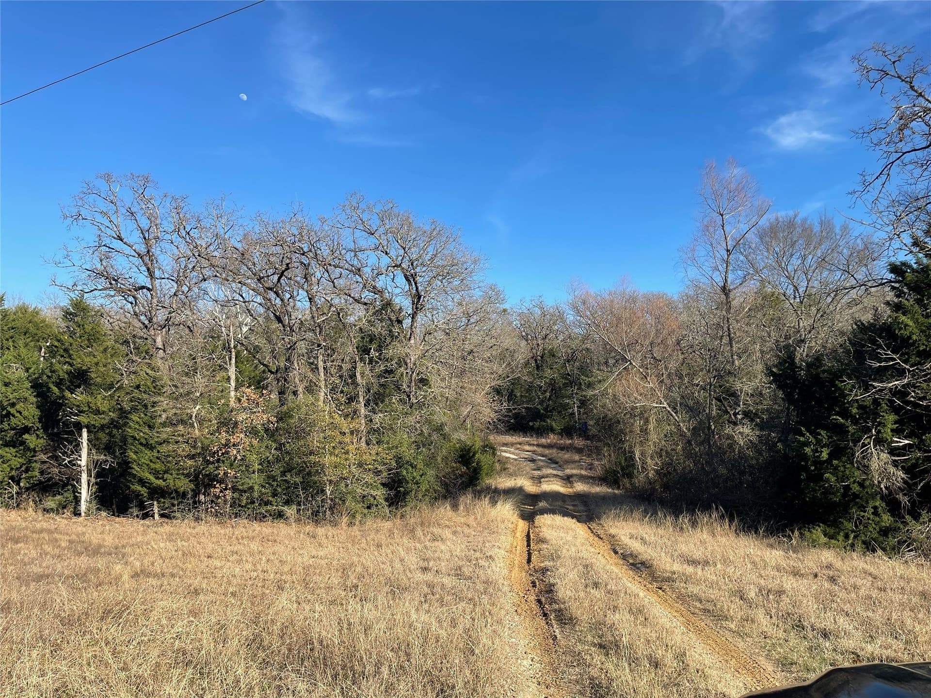 72.28 acres in Freestone County - photo 22