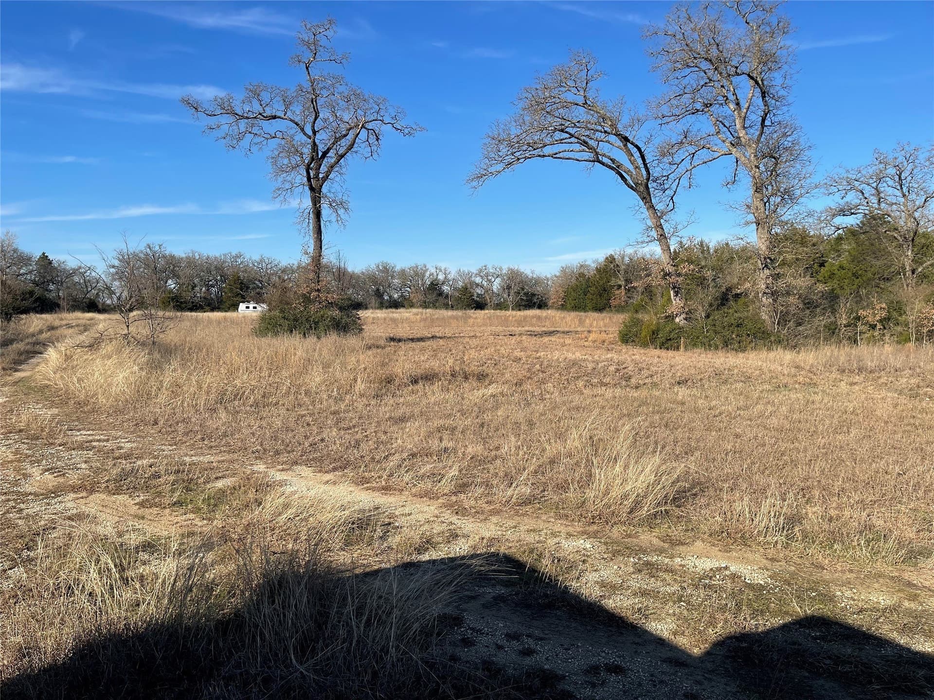 72.28 acres in Freestone County - photo 23