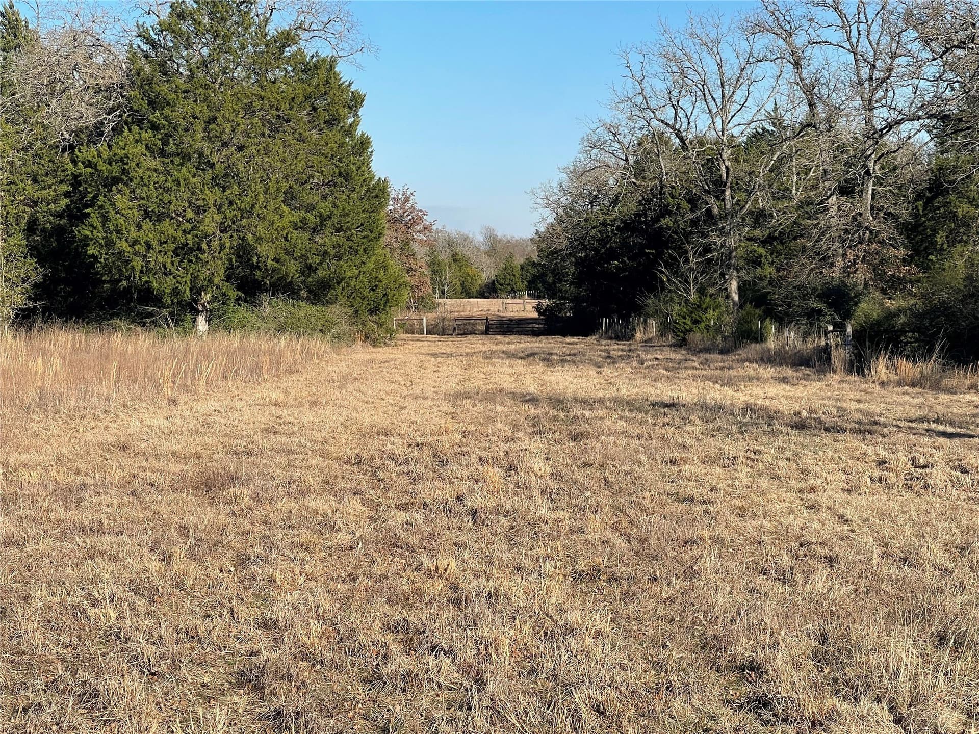 72.28 acres in Freestone County - photo 15