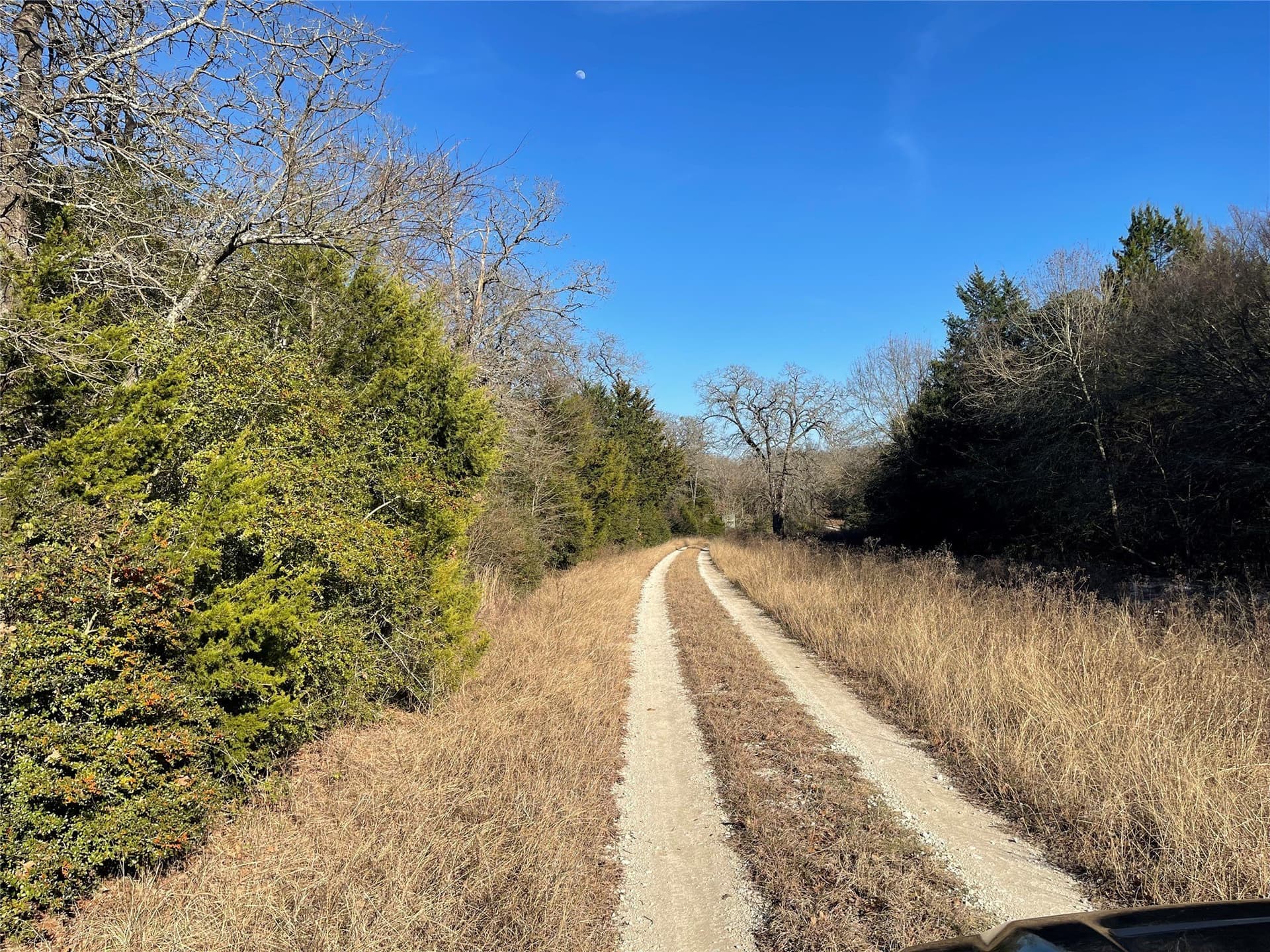 72.28 acres in Freestone County - photo 13