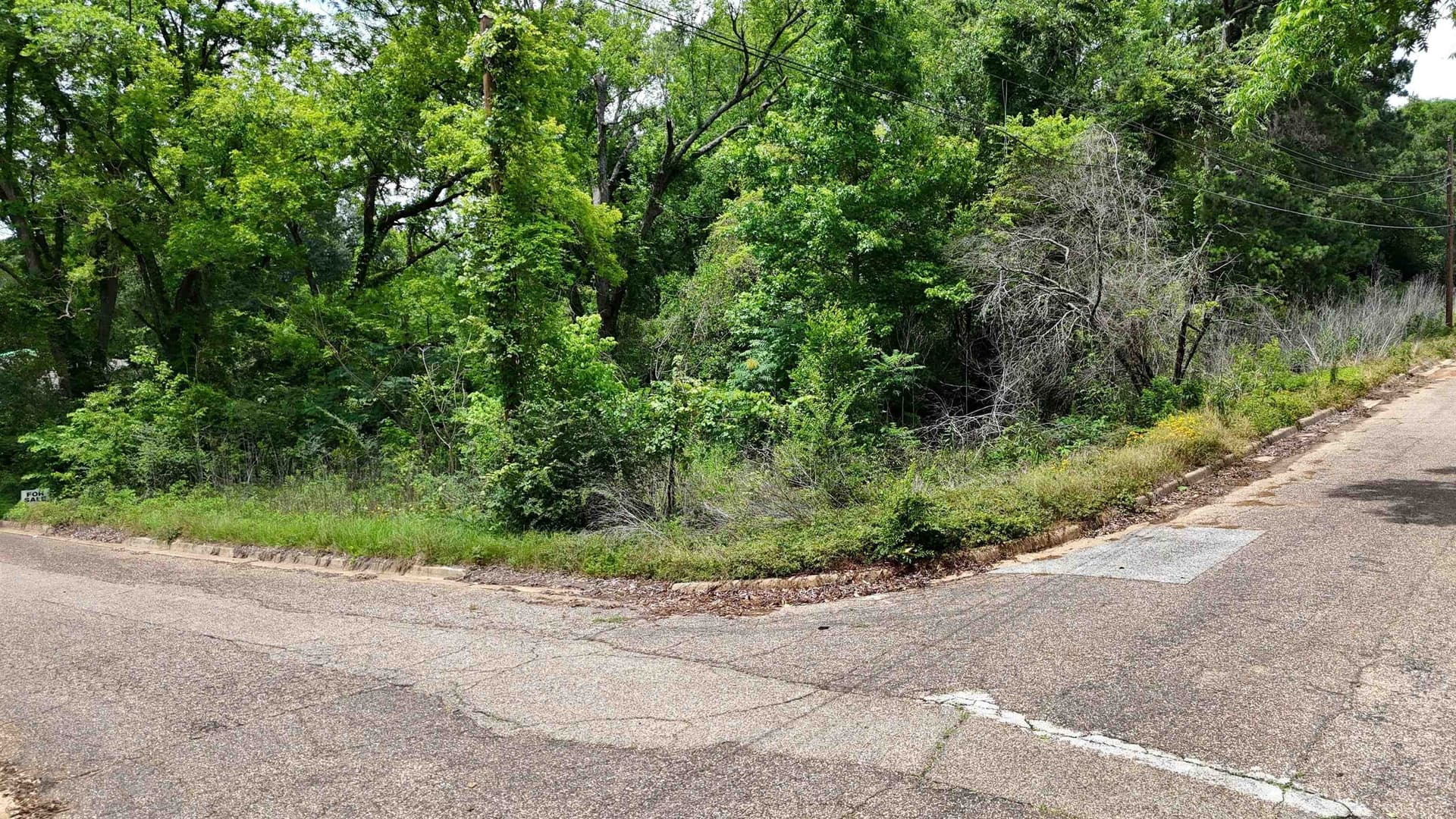 0.2 acres in Texas County gallery image 4